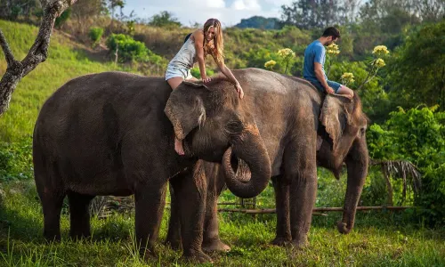 Bali Zoo