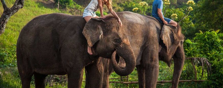Bali Zoo