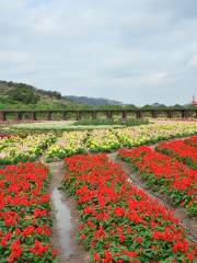 Dan Ying Agricultural Ecological Park