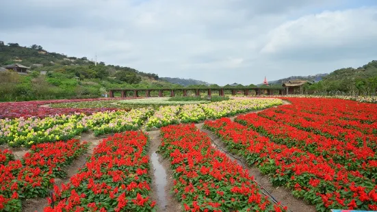 丹櫻農業生態園