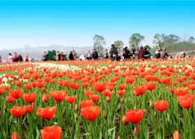 Changshou Lake