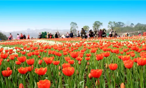 Changshou Lake