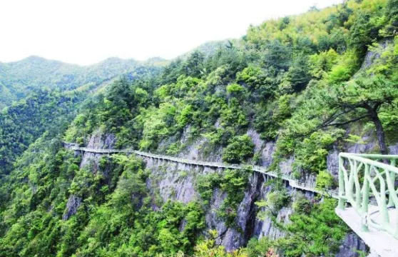 靈江源森林公園門票成人