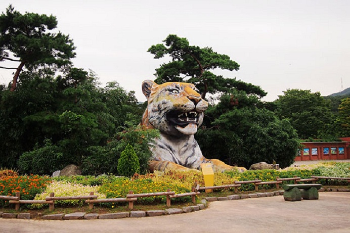 首爾動物園 門票2