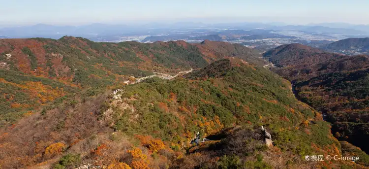 대율리 송림 주변 호텔