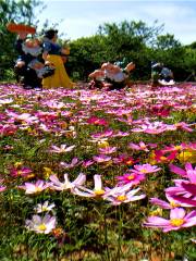 창닝 백만 벚꽃 정원