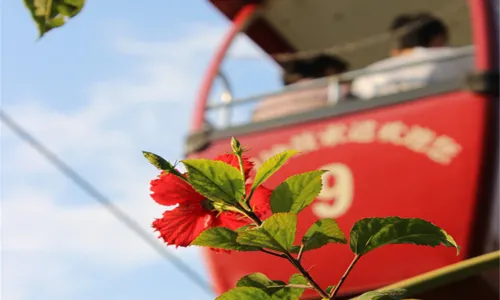Zhonggu Cable Car