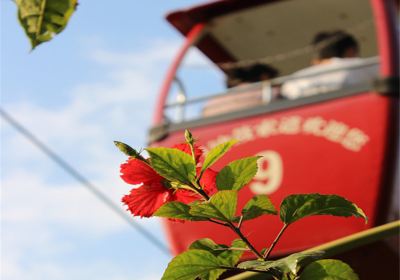 Zhonggu Cableway