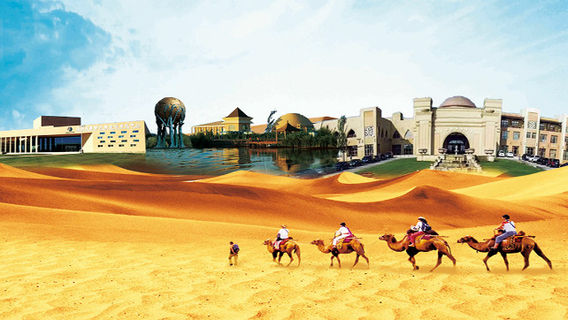 Camel Riding in Ordos