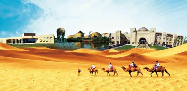 Camel Riding in Ordos