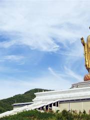 Zhongyuan Big Buddha Scenic Area