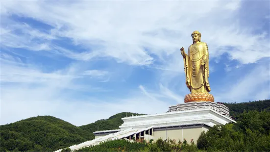 中原大仏景区