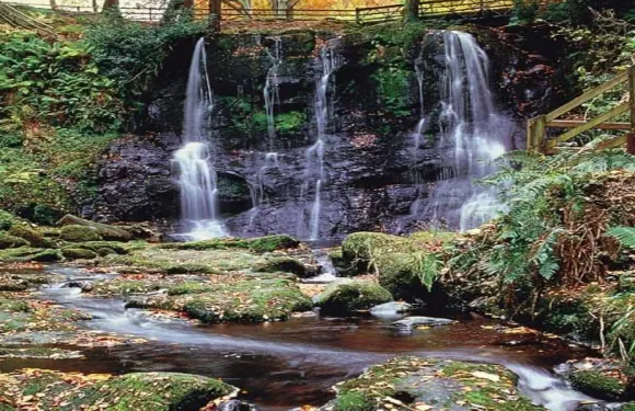 樂瑞閣景住宿加早餐酒店