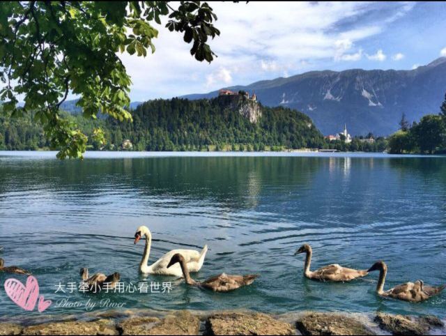 Bread Island