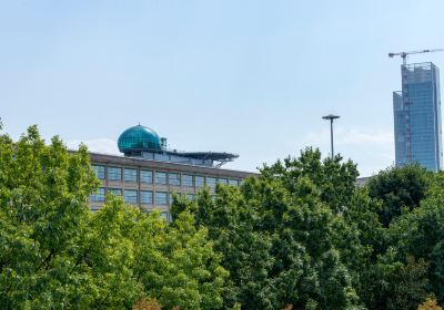 Oval Lingotto