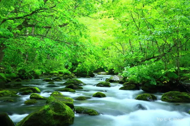 青森:東北隱祕之地,一年四季驚喜不斷