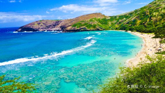 Hawaii and Oahu 1-day tour[The Ultimate Oahu Island-Cycle Adventure]