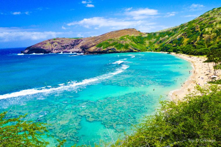 ハワイ格安航空券