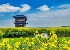 Qianduo (Raised Wetland Fields) Scenic Area