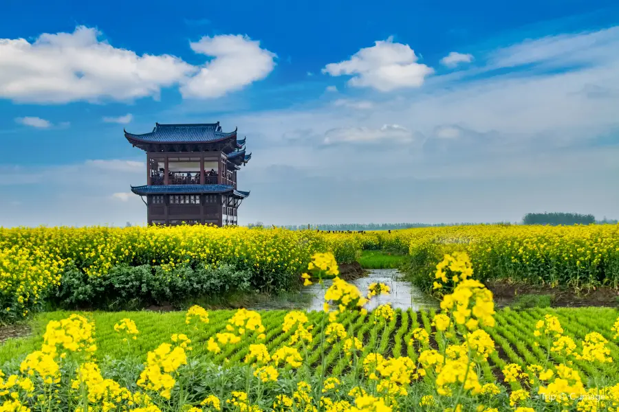 Qianduo (Raised Wetland Fields) Scenic Area