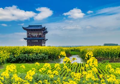 Qianduo (Raised Wetland Fields) Scenic Area