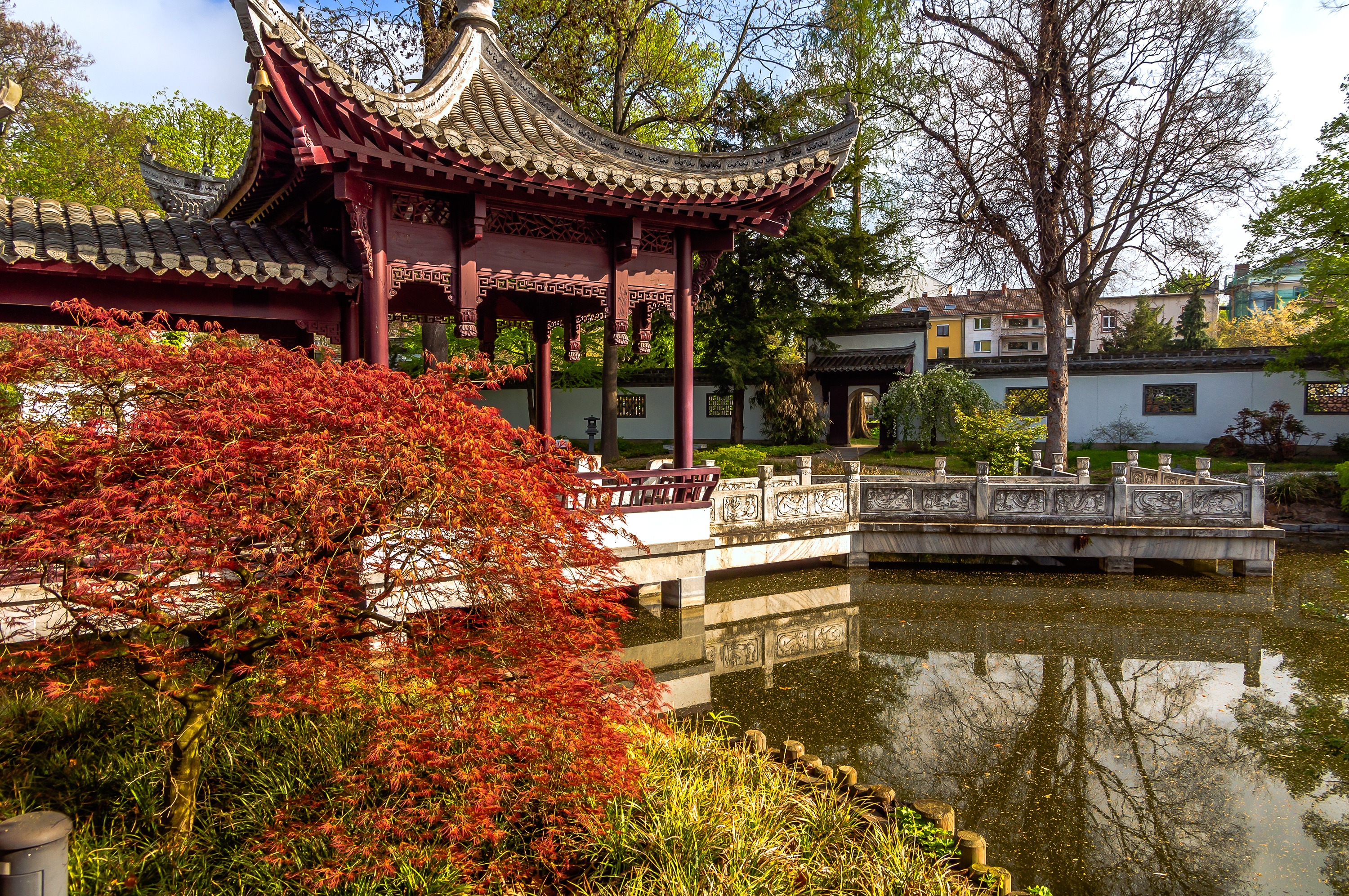 Chinese Garden Reviews