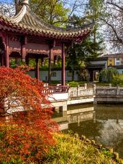 Chinese Garden