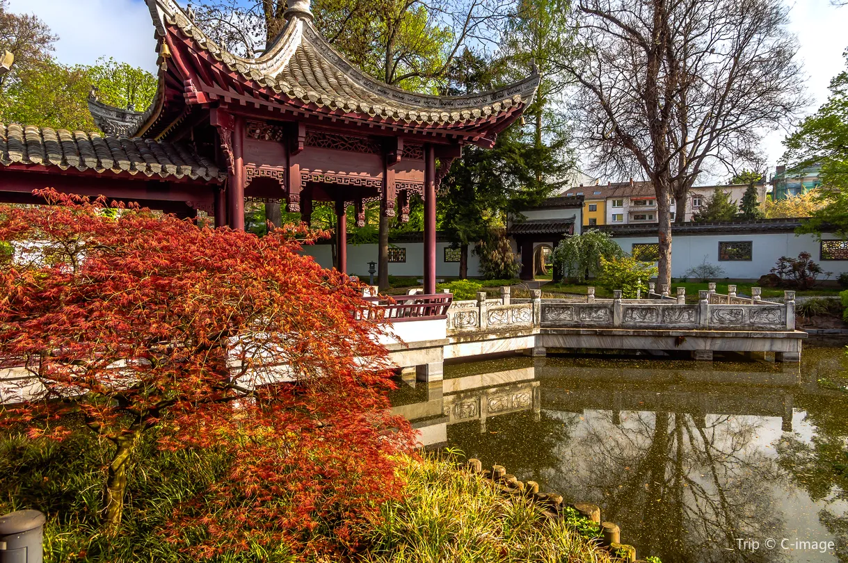 1_中國花園