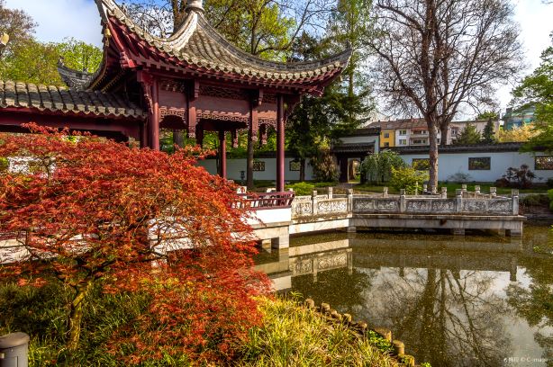 Chinese Garden