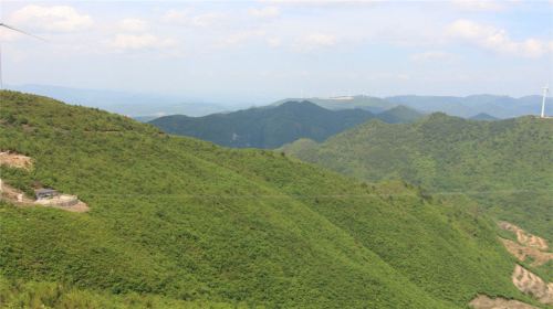 龍裡油畫大草原