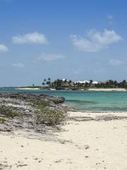 Cabbage Beach