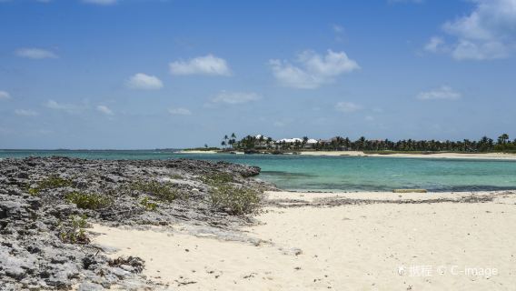 Cabbage Beach