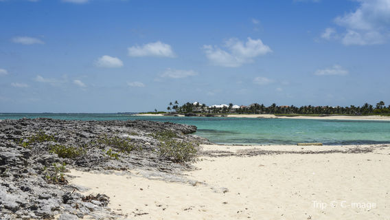 Pig Beach