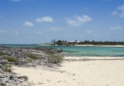 Cabbage Beach