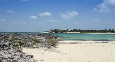 Cabbage Beach