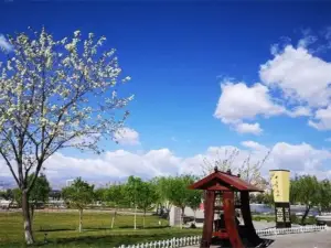 qi shi shan wen hua lv you qu
