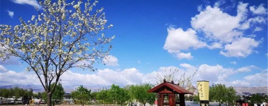 qi shi shan wen hua lv you qu