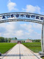八五〇農場水稻科技園