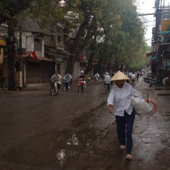 Quan Bia Cau Cang Ca User Photo