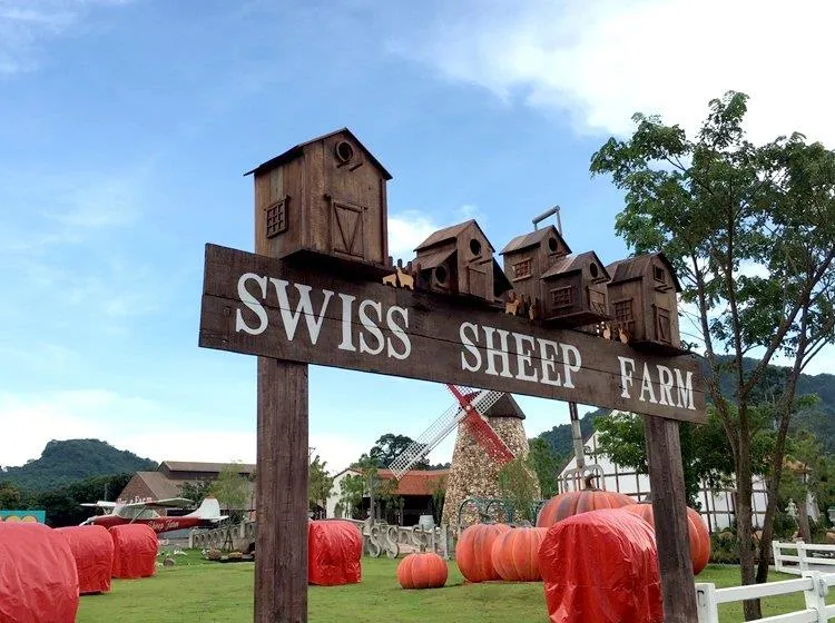 4_芭堤雅瑞士綿羊牧場