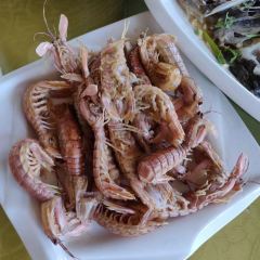 XINGHAIYUGANG User Photo