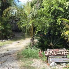 USK Coffee User Photo