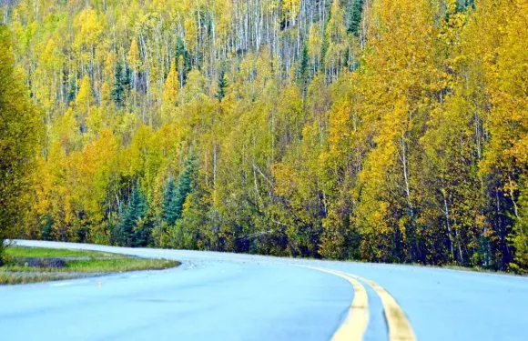 Chena Hot Springs Resort Restaurant