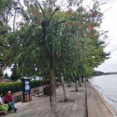 Huazhicheng Restaurant 여행 사진