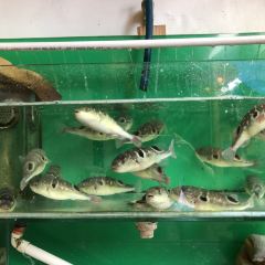 海龙饭店(周庄店) User Photo