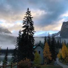 Mount Burgess Dining Room at Emerald Lake Lodge User Photo