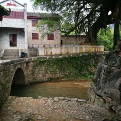 黄姚大樟树农庄 User Photo
