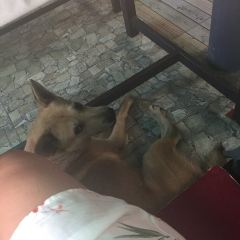 Baan Ton Mahka User Photo