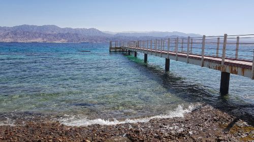 Eilat Coral Beach Nature Reserve