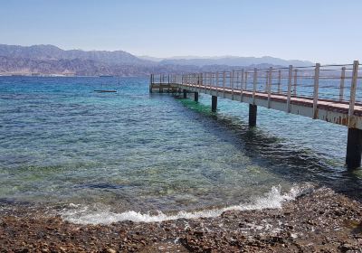 Eilat